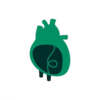 Green heart isolated in white illustration | Free stock vector - 462174