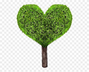 Green Heart Tree Png - Heart Tree Png