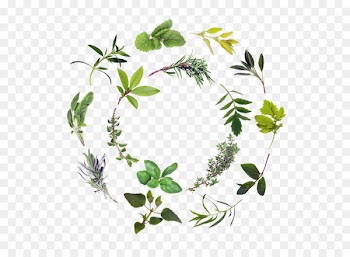 Green herbs 
