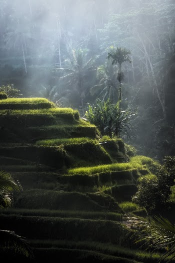 Green Hill