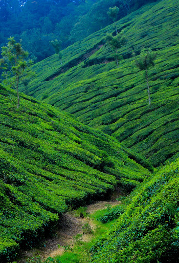 Green Hills