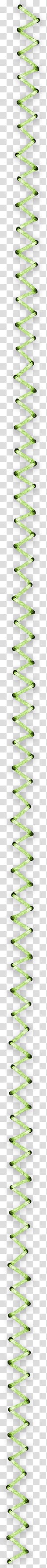 Green horizontal line, Line Angle Point Black and white Pattern, rope transparent background PNG clipart