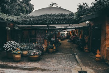 Green Houses Surrounded by Flowers