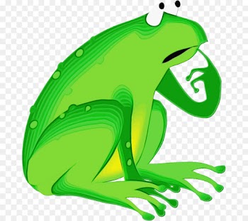 green hyla frog tree frog tree frog