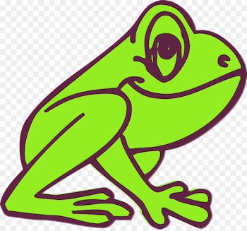 green hyla tree frog clip art true frog