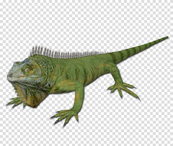 Green Iguana - Official Green Hell Wiki