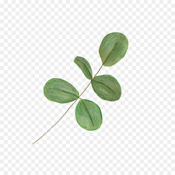 Green Illustration Forest Plant stem Cartoon - lila augen gras 