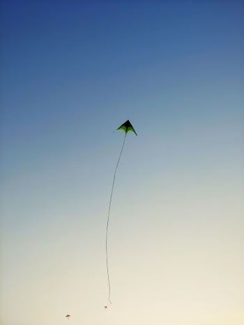 Green Kite Flying on Sky