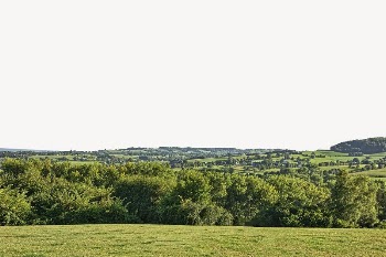 Green landscape border, grass field | Free PSD - rawpixel