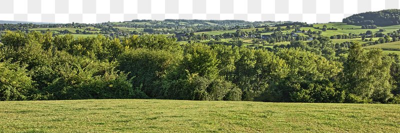 Green landscape png border, grass | Free PNG - rawpixel