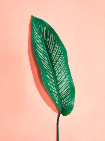 Green Leaf