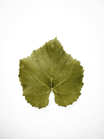 Green Leaf