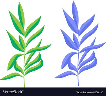 green leaf
