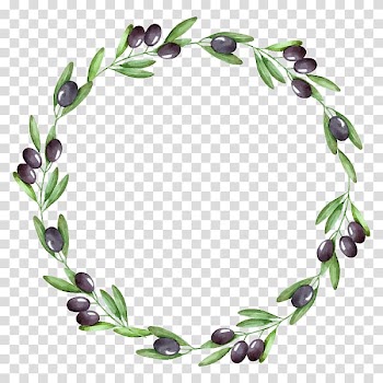 Green leaf and black fruit , Watercolor painting Olive wreath Olive branch, olive transparent background PNG clipart