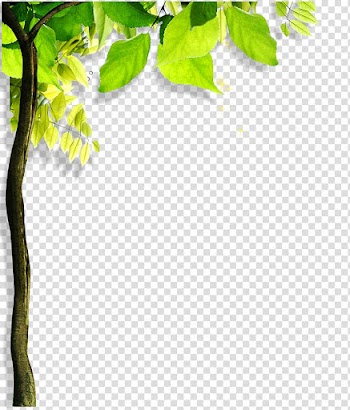 Green Leaf Angle, tree transparent background PNG clipart