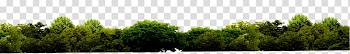 Green leaf art, Grasses Biome Green Tree, tree transparent background PNG clipart