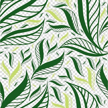 Green leaf , Autumn leaf color Green, Tea pattern background transparent background PNG clipart