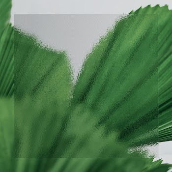 Green leaf background with patterned glass… | Free stock photo | High Resolution image