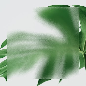 Green leaf background with patterned glass… | Free stock photo | High Resolution image