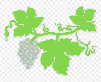 Green Leaf Border Clip Art - Grape