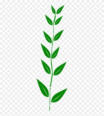 Green Leaf Border - Green Leaf Clipart