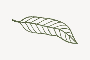 Green leaf, botanical doodle collage | Free Vector - rawpixel