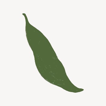 Green leaf, botanical illustration collage | Free Vector - rawpixel