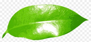 Green Leaf Clipart 9, Buy Clip Art - Hoja De Naranja Png