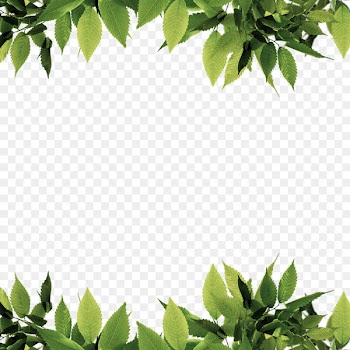 Green Leaf Computer file - Green leaves border 