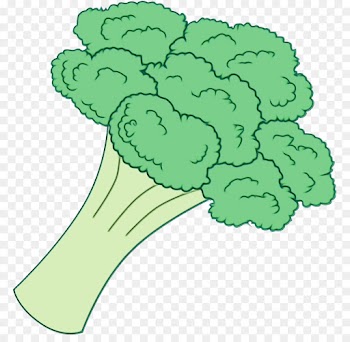 green leaf cruciferous vegetables broccoli plant