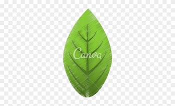 Green Leaf Drawing At Getdrawings - Drawing Green Leaves
