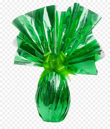 green leaf grass vase plant
