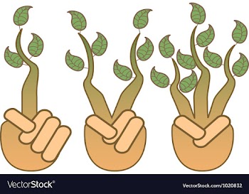 Green leaf growing from hands vector image