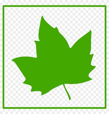 Green Leaf Icon Clip Art At Clker - Green Maple Leaf Icon