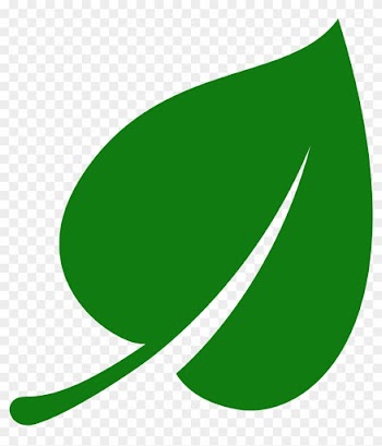 Green Leaf Icon Png