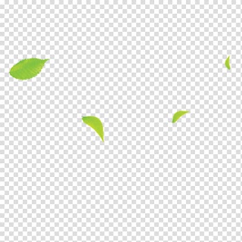 Green leaf illustration, Area Angle Pattern, Leaves transparent background PNG clipart