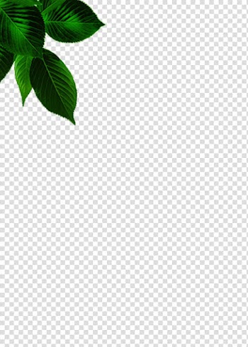 Green leaf illustration, Green Leaf Angle Pattern, Leaves transparent background PNG clipart