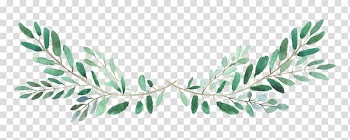 Green leaf illustration, Instagram Video YouTube, instagram transparent background PNG clipart