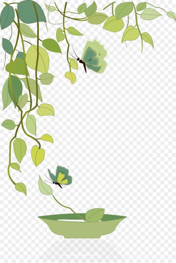 Green Leaf Illustration - leaf 