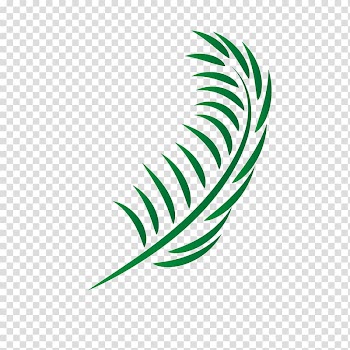 Green leaf illustration, Leaf Euclidean , palm leaves transparent background PNG clipart