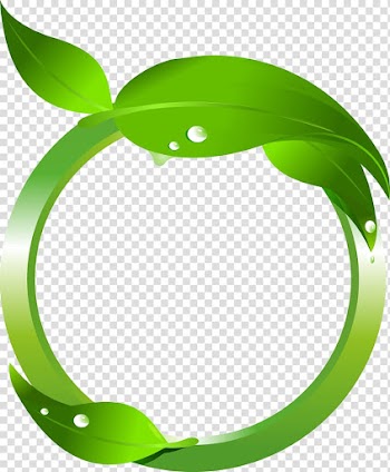 Green leaf illustration, Maple leaf Green , green leaves transparent background PNG clipart
