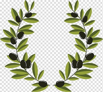 Green leaf illustration, Olive branch Olive wreath, olive branch decoration transparent background PNG clipart