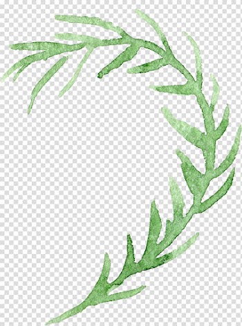 Green leaf illustration, Watercolor painting Transparency and translucency Flower, background floral botanical watercolor flowers transparent background PNG clipart