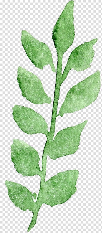 Green leaf illustration, Watercolor Watercolor painting Transparency and translucency, background floral botanical watercolor flowers transparent background PNG clipart