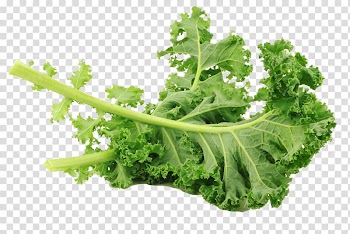 Green leaf, Lacinato kale Leaf vegetable Salad Brussels sprout, Kale creative transparent background PNG clipart