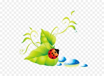 Green leaf ladybug water droplets background vector 
