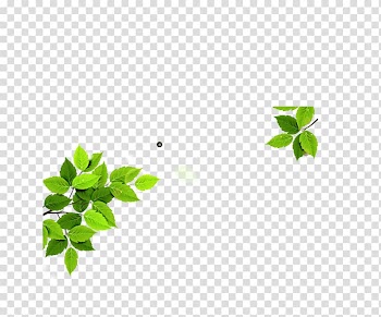 Green leaf, Leaf Euclidean Icon, leaf transparent background PNG clipart