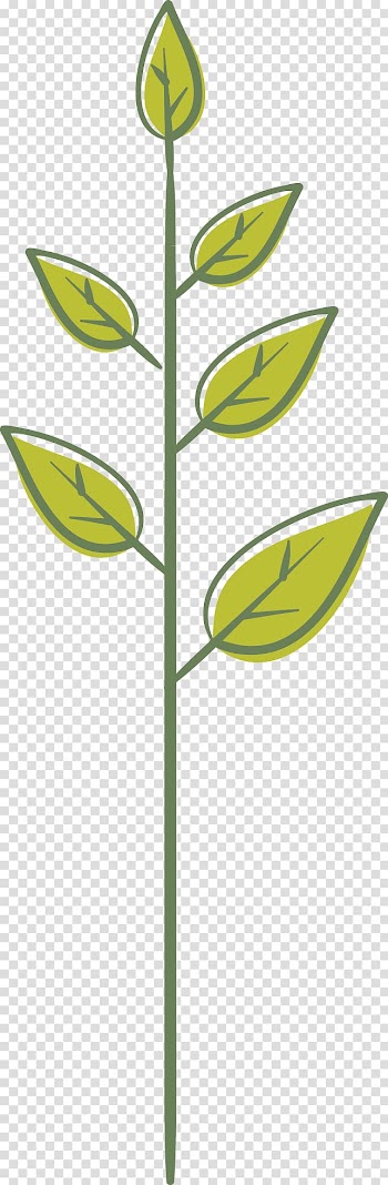 Green leaf , Leaf Green Plant stem, Leaves transparent background PNG clipart