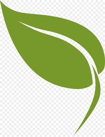 green leaf logo plant line