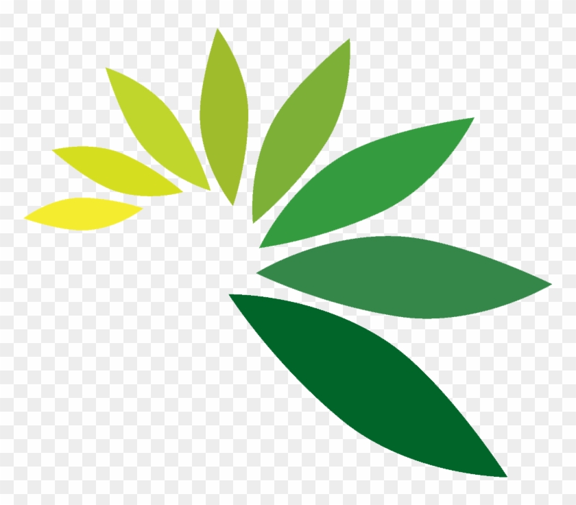 Green Leaf Logo Png